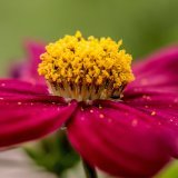 magda-pawluczuk-6fVCfBMdAok-unsplash
